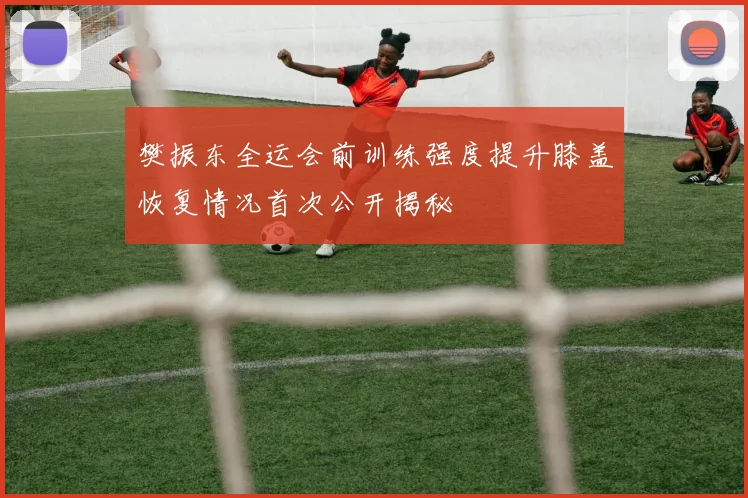 樊振东全运会前训练强度提升膝盖恢复情况首次公开揭秘