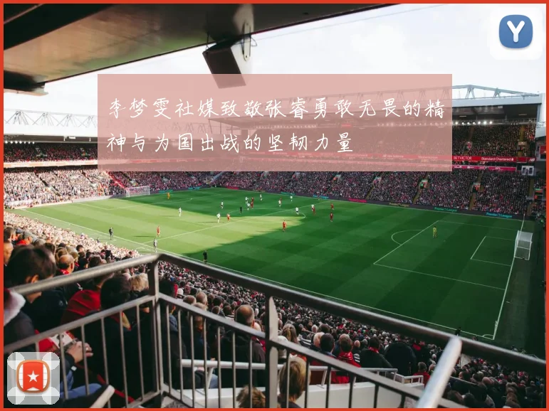 李梦雯社媒致敬张睿勇敢无畏的精神与为国出战的坚韧力量